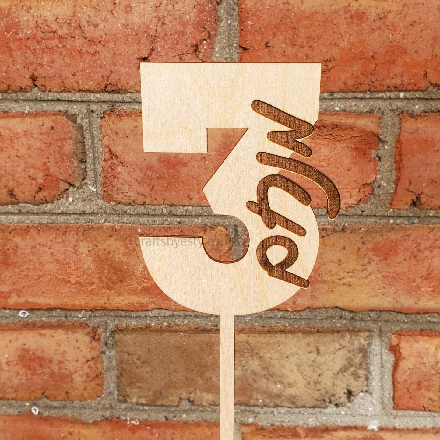 Wooden Birthday Cake Topper- Hebrew